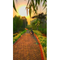 旅行风景6793