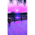 旅行风景6797