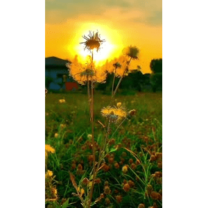 旅行风景6800