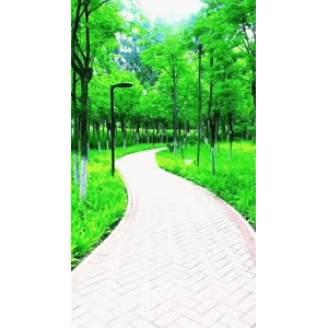 旅行风景6802