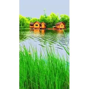 旅行风景6806