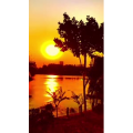 旅行风景6809