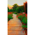 旅行风景6815