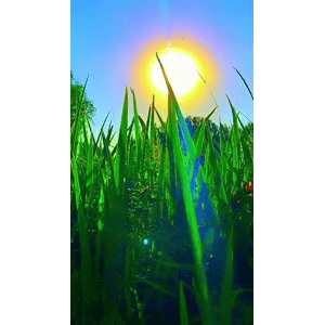 旅行风景6816