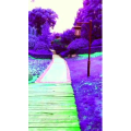 旅行风景6818