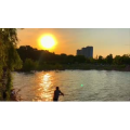 旅行风景6819