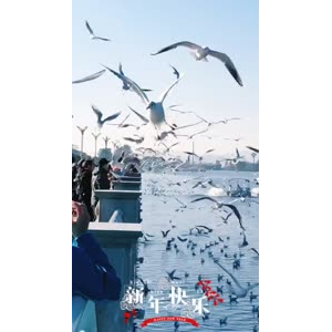 旅行风景5672