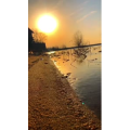 旅行风景6657