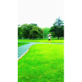 旅行风景6840