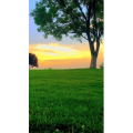 旅行风景6847