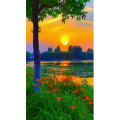 旅行风景6848