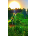 旅行风景6855