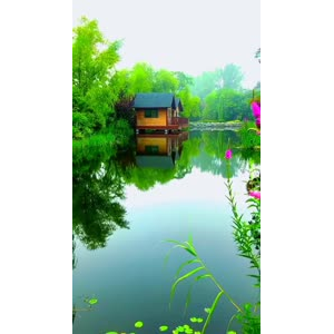 旅行风景6861