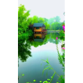旅行风景6861