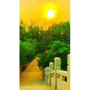 旅行风景6878