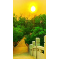 旅行风景6878