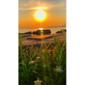 旅行风景6884