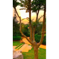 旅行风景6891
