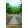 旅行风景6893