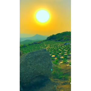 旅行风景6894