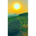 旅行风景6894