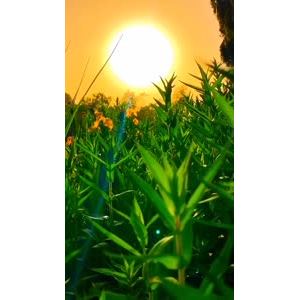 旅行风景6896
