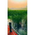 旅行风景6926
