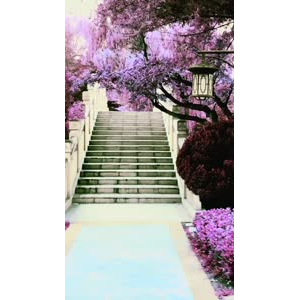旅行风景6930