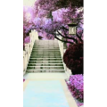 旅行风景6930