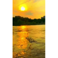 旅行风景6931