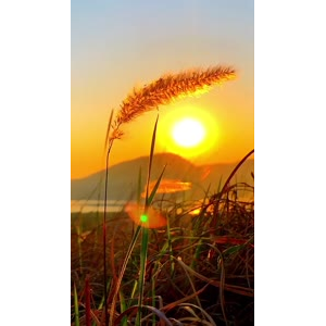 旅行风景6932