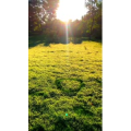 旅行风景6946