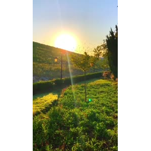 旅行风景6947