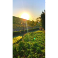 旅行风景6947