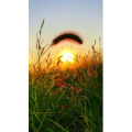 旅行风景6948