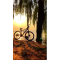 旅行风景6949