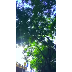 旅行风景6952
