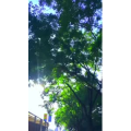 旅行风景6952