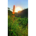 旅行风景6953