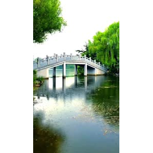 旅行风景6956