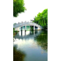 旅行风景6956