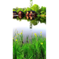 旅行风景6965