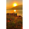 旅行风景6971