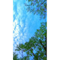 旅行风景6973