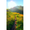 旅行风景6974