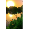 旅行风景6976