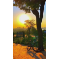 旅行风景6983