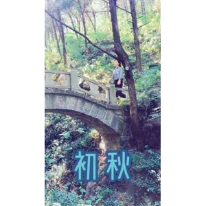 旅行风景6986