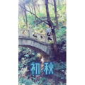 旅行风景6986