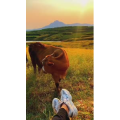 旅行风景6990